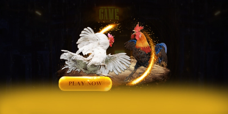 KUWIN - Cổng cá cược được yêu thích trong giới game thủ KUWIN - Cổng cá cược được yêu thích trong giới game thủ