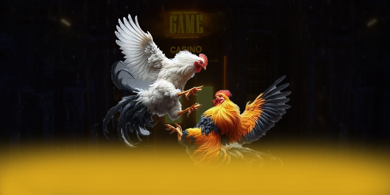 
Cập nhật thông tin về 789WIN - Sân chơi có thưởng lớn tại Việt Nam
