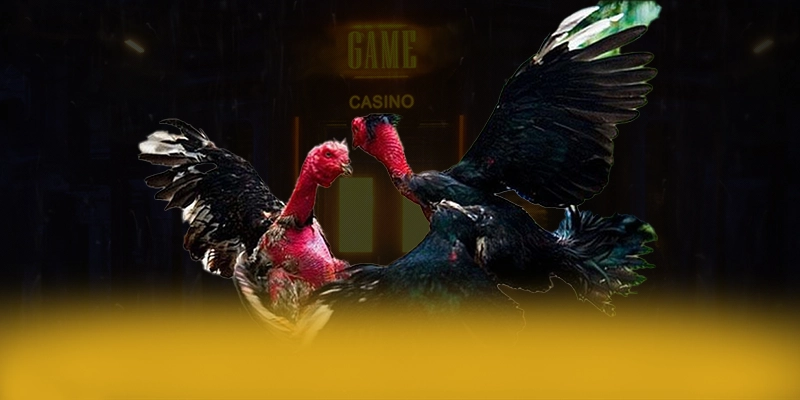 SA88 - Cổng giải trí tối ưu tại Việt Nam SA88 - Cổng giải trí tối ưu tại Việt Nam