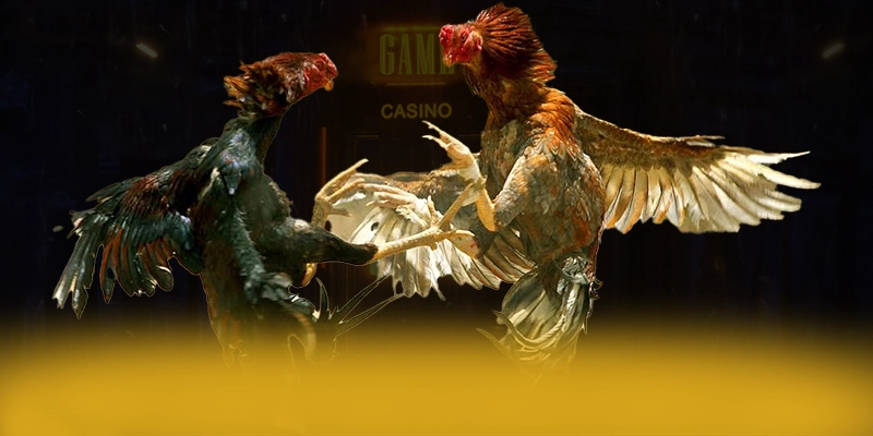 GA6789 - Khẳng định vị thế từ cộng đồng game thủ. GA6789 - Khẳng định vị thế từ cộng đồng game thủ.