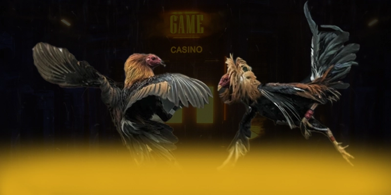 SA88 - Tổng quan về hệ thống từ cộng đồng game thủ. SA88 - Tổng quan về hệ thống từ cộng đồng game thủ.