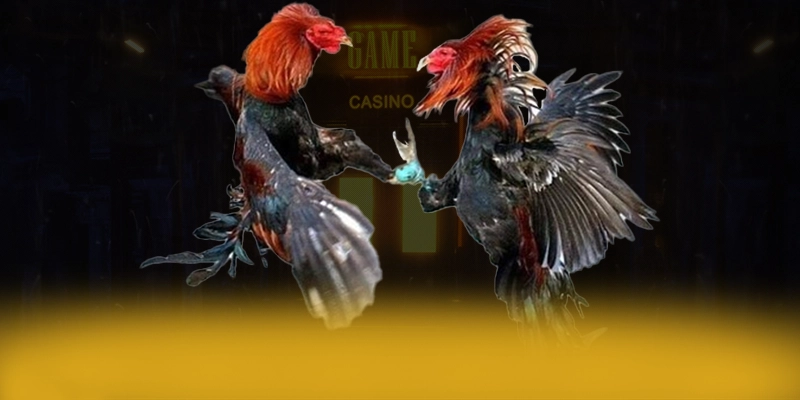 CONGA6789 - Ứng dụng giải trí bảo mật cao được người chơi tin dùng – Cùng tìm hiểu CONGA6789 CONGA6789 - Ứng dụng giải trí bảo mật cao được người chơi tin dùng – Cùng tìm hiểu CONGA6789