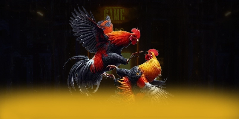 VWIN - Nền tảng cá cược sở hữu kho game phong phú tại Việt Nam – Khám phá VWIN VWIN - Nền tảng cá cược sở hữu kho game phong phú tại Việt Nam – Khám phá VWIN