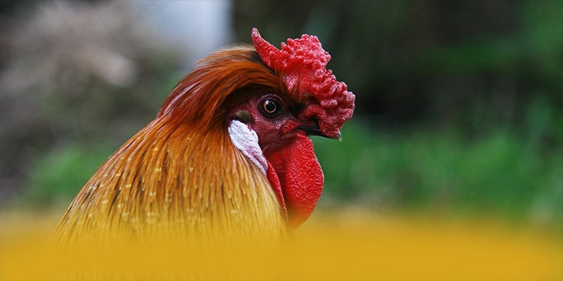 WIN79 - Trang game với chính sách bảo mật hàng đầu được giới chuyên môn đánh giá cao – Khám phá WIN79 WIN79 - Trang game với chính sách bảo mật hàng đầu được giới chuyên môn đánh giá cao – Khám phá WIN79