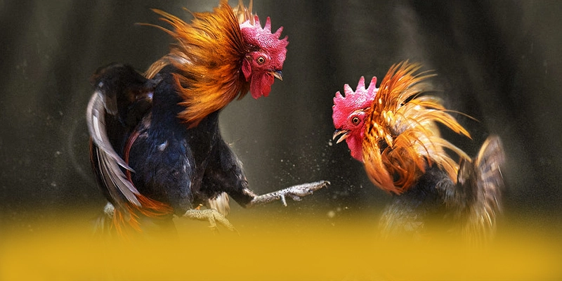 FAFA191 – Cổng trò chơi được nhiều người chơi lựa chọn, được giới cược thủ đánh giá cao. FAFA191 – Cổng trò chơi được nhiều người chơi lựa chọn, được giới cược thủ đánh giá cao.