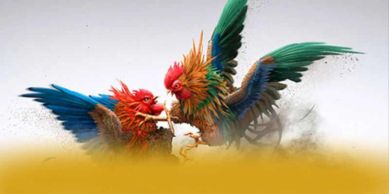 CONGA6789 - Nền tảng cá cược trực tuyến với hệ thống bảo mật hiện đại trên thị trường – Tìm hiểu thêm về CONGA6789 CONGA6789 - Nền tảng cá cược trực tuyến với hệ thống bảo mật hiện đại trên thị trường – Tìm hiểu thêm về CONGA6789