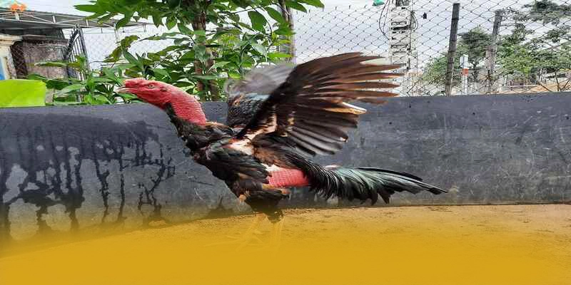 tỷ lệ kèo bóng đá - Thương hiệu với chính sách tặng thưởng đẳng cấp 2025 – Săn quà và khuyến mãi hot từ tỷ lệ kèo bóng đá tỷ lệ kèo bóng đá - Thương hiệu với chính sách tặng thưởng đẳng cấp 2025 – Săn quà và khuyến mãi hot từ tỷ lệ kèo bóng đá