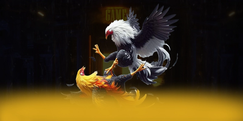 GEM88 - Cổng giải trí được cộng đồng săn đón trên thị trường – Tìm hiểu khuyến mãi độc quyền của GEM88 GEM88 - Cổng giải trí được cộng đồng săn đón trên thị trường – Tìm hiểu khuyến mãi độc quyền của GEM88