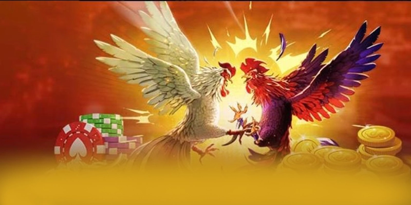 Khám phá thế giới của GEM88 - Sân chơi được đánh giá cao trên thị trường
Khám phá thế giới của GEM88 - Sân chơi được đánh giá cao trên thị trường