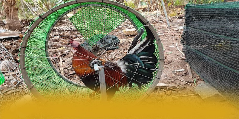 CONGA6789 - Ứng dụng giải trí ưu đãi khủng tại Việt Nam – Khám phá sự kiện hấp dẫn tại CONGA6789 CONGA6789 - Ứng dụng giải trí ưu đãi khủng tại Việt Nam – Khám phá sự kiện hấp dẫn tại CONGA6789